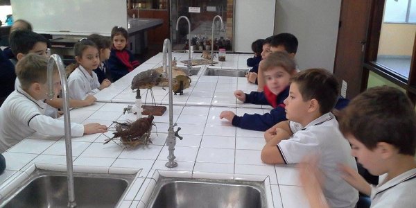 18280964_10213114689131483_1820442561_n