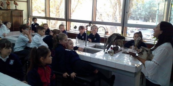 18360451_10213114691371539_879725082_n