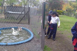 IMG_20171009_093725662