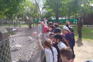 IMG_20171009_094454536