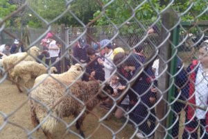 IMG_20171009_100350662