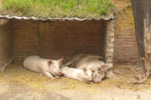 IMG_20171009_102255867