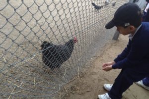 IMG_20171009_102551589